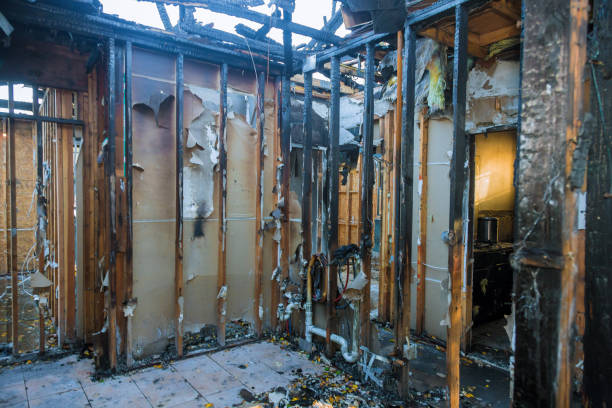 Professional Fire Damage Removal technician working in Jarrettsville, MD